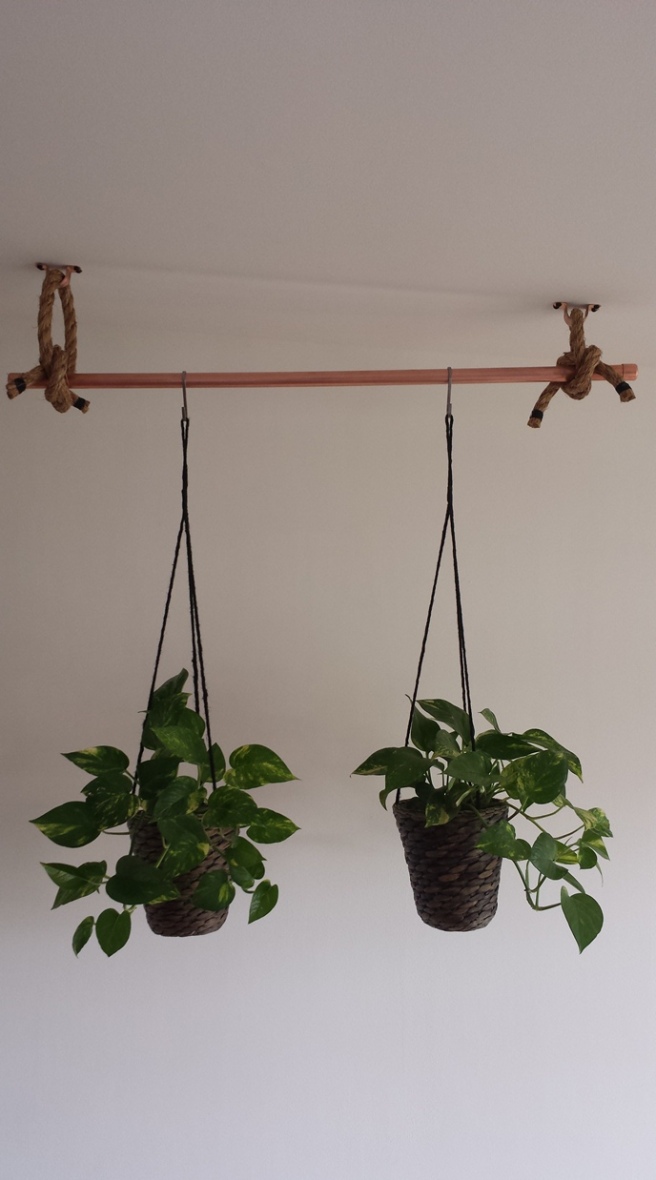Finished Copper Hanging Plants z